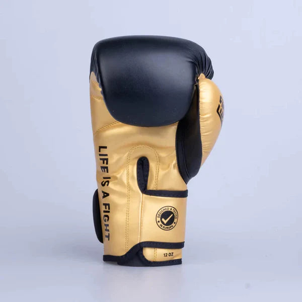 Fighter Boxing Gloves Training