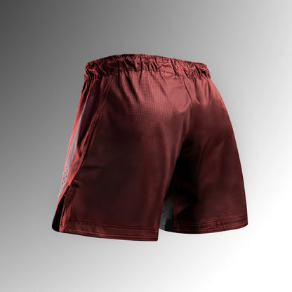 Pantalones cortos de lucha Hayabusa Core para hombre...