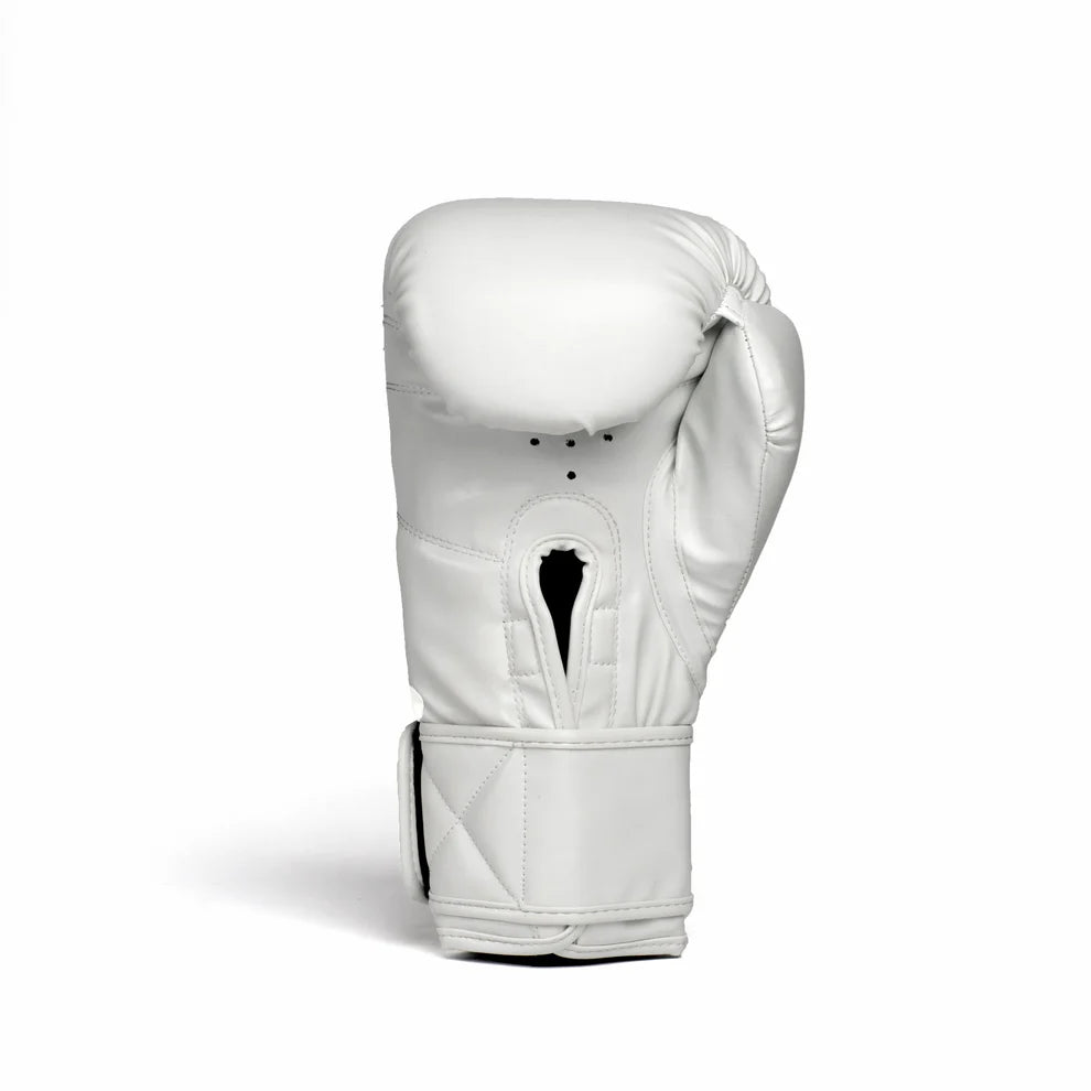 GUANTE BOX EVERLAST 1910 CLASSIC