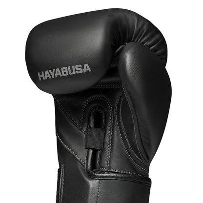 HAYABUSA T3 Kanpeki